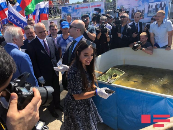 Leyla Əliyeva nərə balıqlarının Xəzər dənizinə buraxılması mərasimində iştirak edib